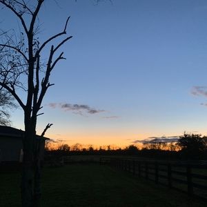 Meet your Posher, Edward